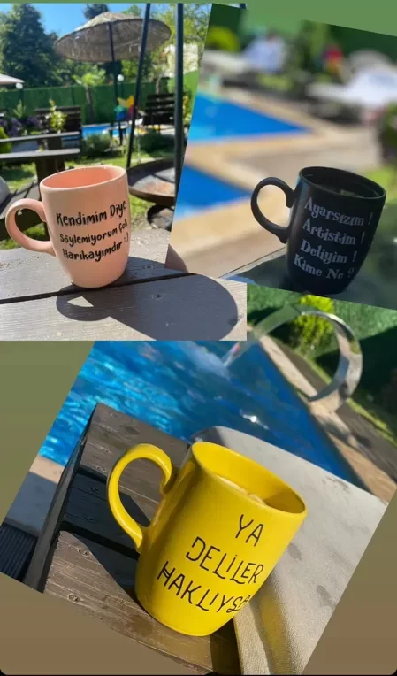 Jardin Bungalov Sapanca | Sakarya Sapanca Bungalov | Sakarya Sapanca Günlük Kiralık Bungalov | Sakarya Sapanca Bungalov Önerileri | Sakarya Sapanca Bungalov Fiyatları