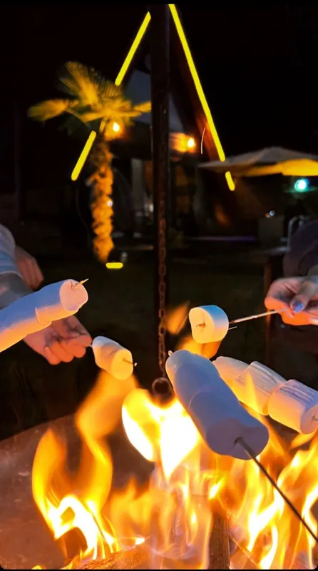 Jardin Bungalov Sapanca | Sakarya Sapanca Bungalov | Sakarya Sapanca Günlük Kiralık Bungalov | Sakarya Sapanca Bungalov Önerileri | Sakarya Sapanca Bungalov Fiyatları